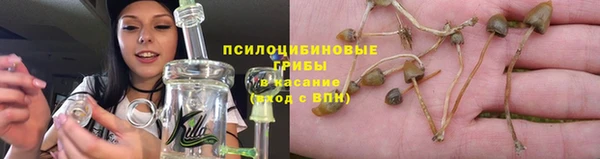 твердый Туринск