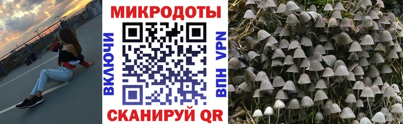 Галлюциногенные грибы прущие грибы  Волжск 