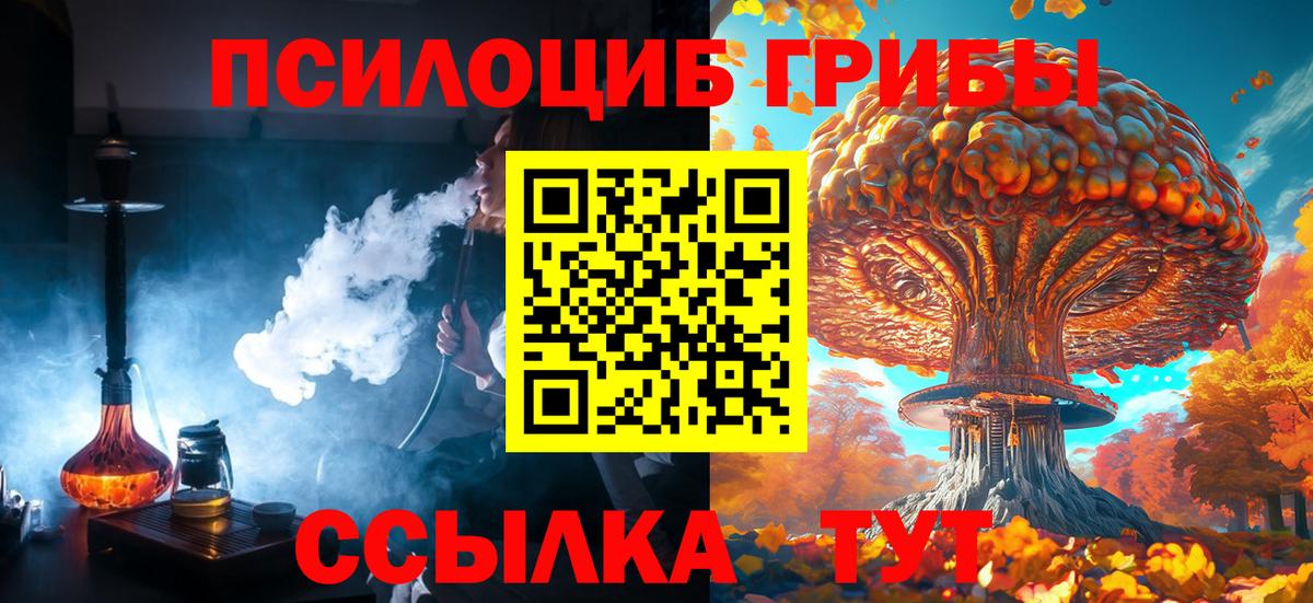 Галлюциногенные грибы Cubensis  Вход с VPN  Волжск 