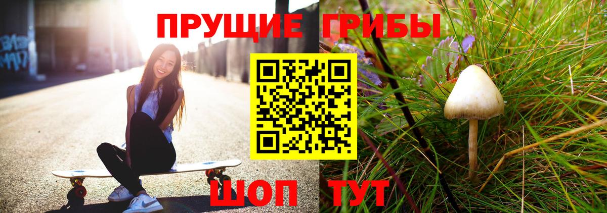 Псилоцибиновые грибы Psilocybe Волжск