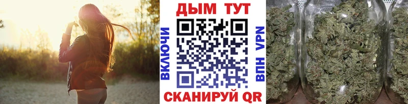 дарк нет официальный сайт Волжск Конопля OG Kush